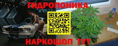 PSILOCYBIN Баксан