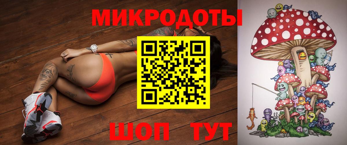 Псилоцибиновые грибы Psilocybine cubensis Красноуфимск