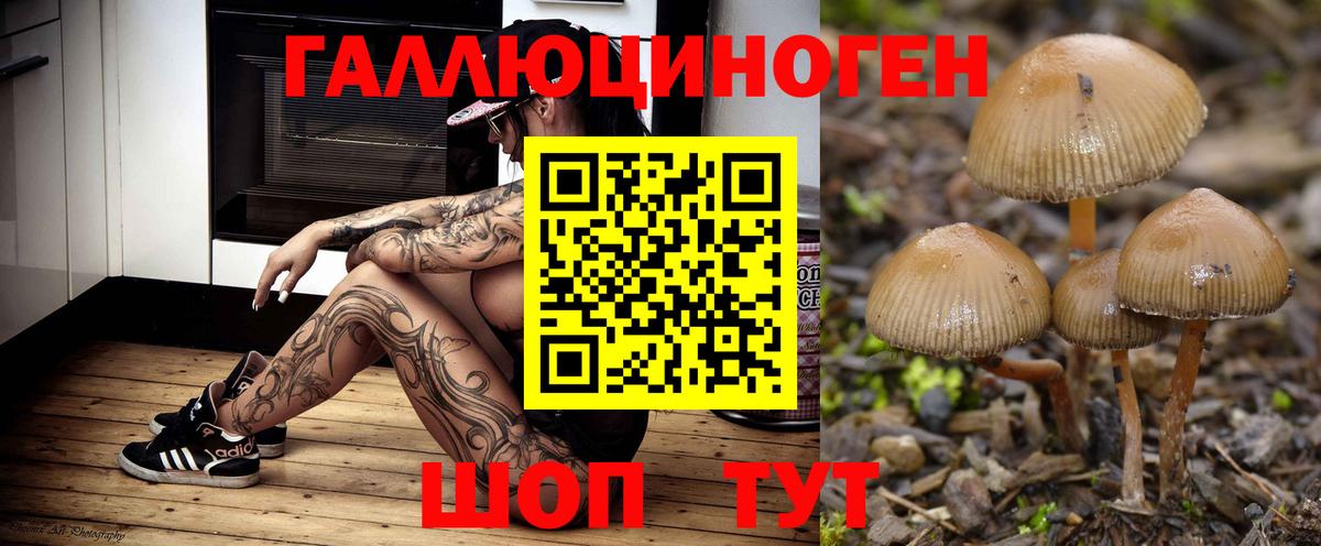 Красноуфимск  Псилоцибиновые грибы мухоморы  Вход с VPN  Псилоцибиновые грибы Psilocybine cubensis 